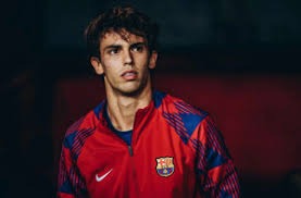 快船126-113力克尼克斯，莱昂纳德27+10+7，哈登29分